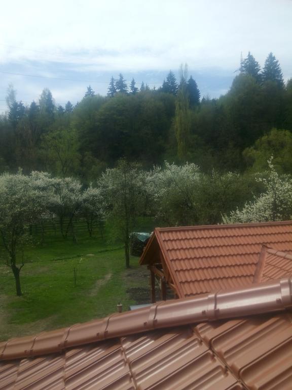 Casa Bunicii Hotel Moisei Eksteriør billede