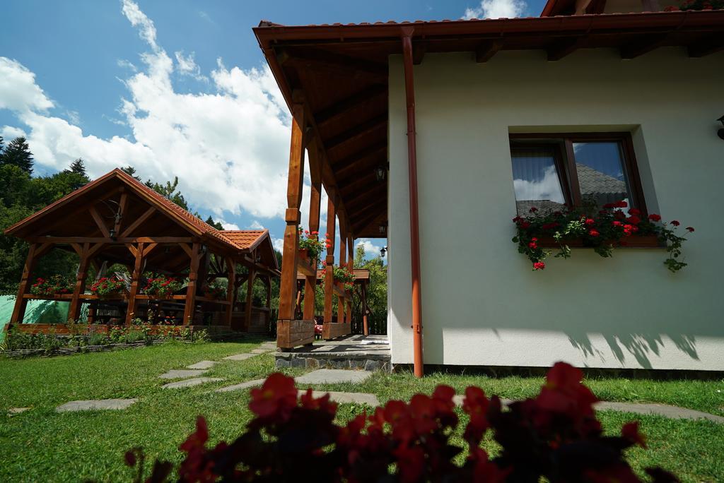 Casa Bunicii Hotel Moisei Eksteriør billede