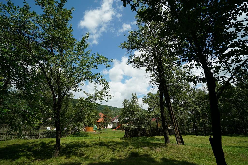 Casa Bunicii Hotel Moisei Eksteriør billede
