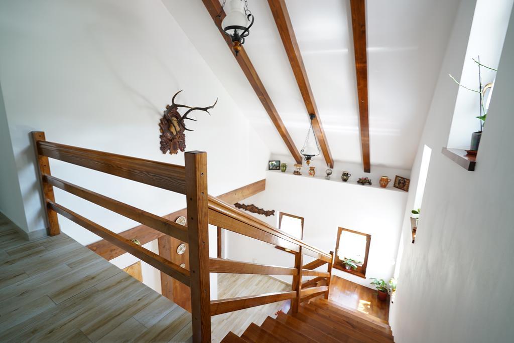 Casa Bunicii Hotel Moisei Eksteriør billede
